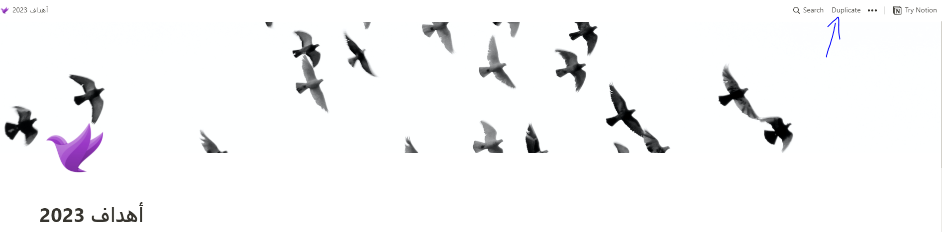 كيف تسير أهدافك 2023