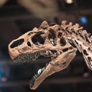 علم الأحياء