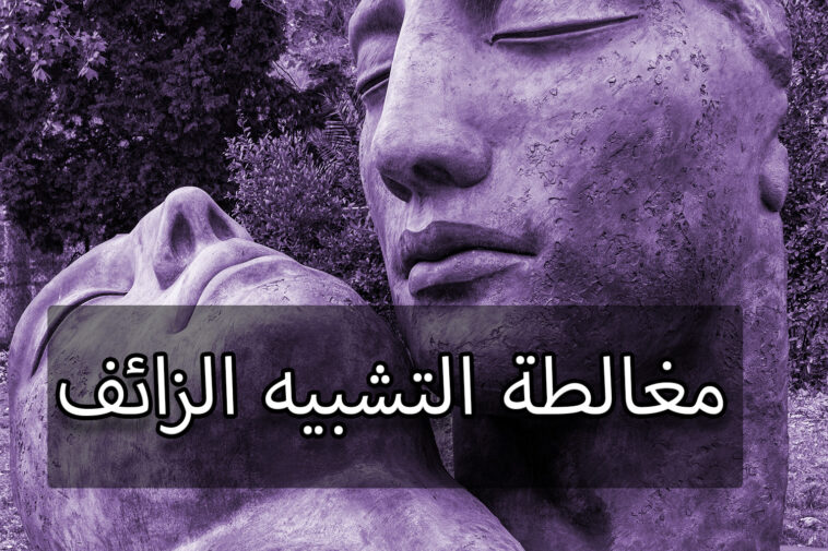 مغالطة التشبيه الزائف