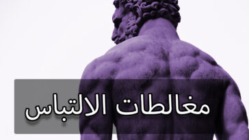 مغالطات الالتباس